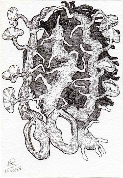 Dead Ear Tree 10