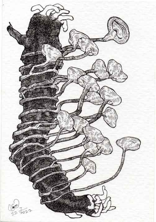 Dead Ear Tree 11
