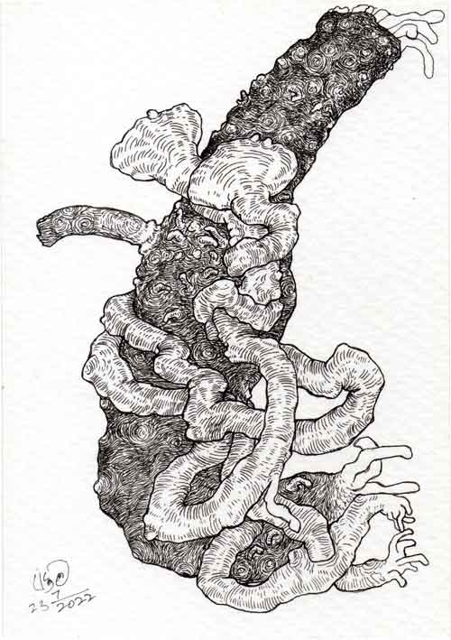 Dead Ear Tree 13
