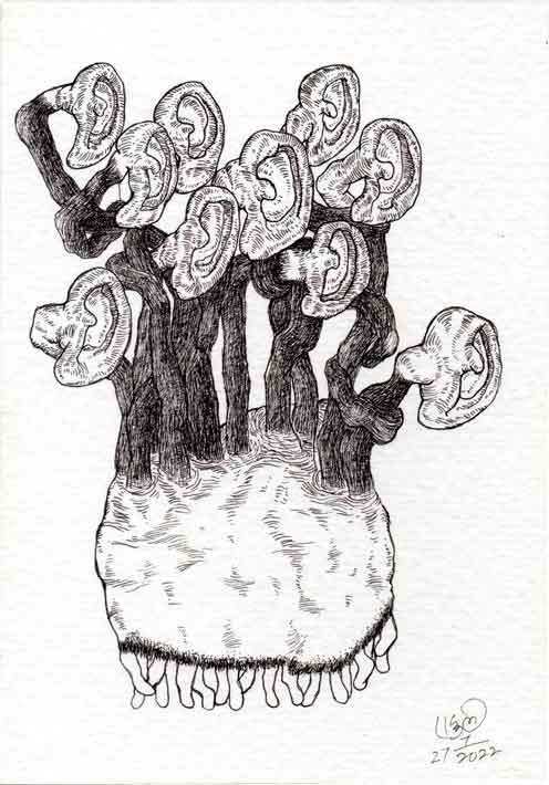 Dead Ear Tree 17