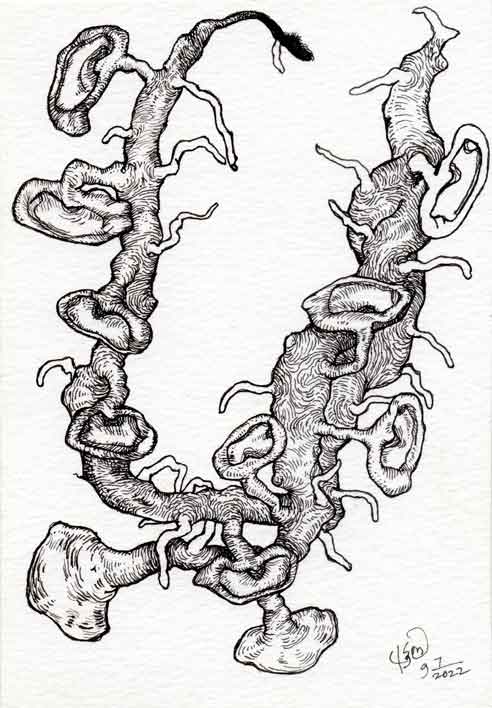 Dead Ear Tree 2