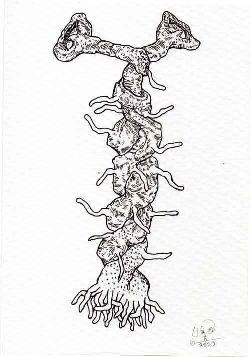 Dead Ear Tree 33