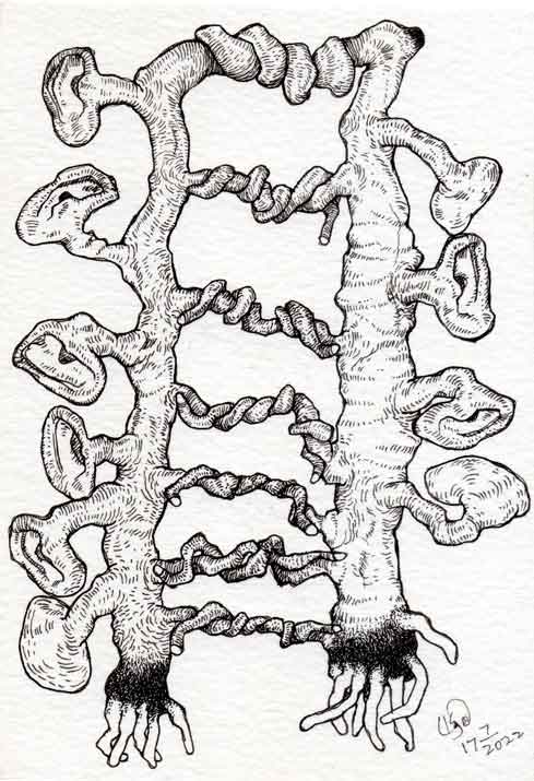 Dead Ear Tree 4