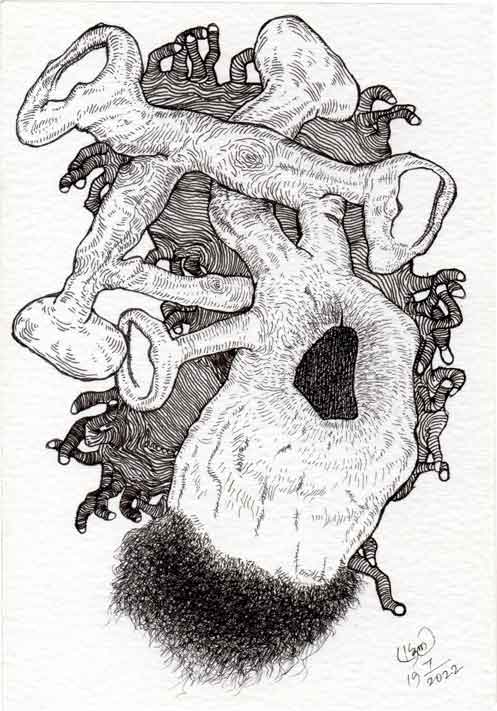 Dead Ear Tree 7