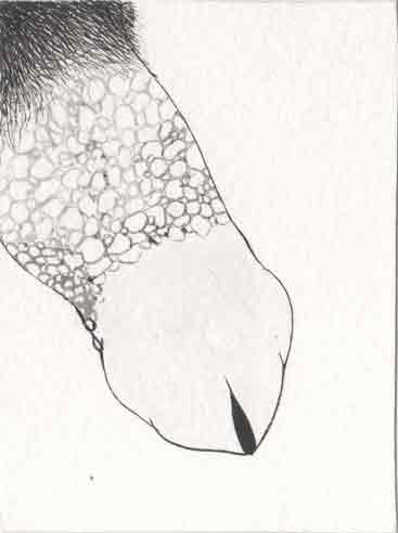 Drawing 13