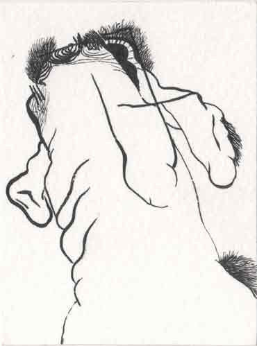 Drawing 15