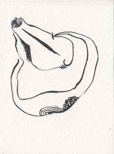 Drawing 18