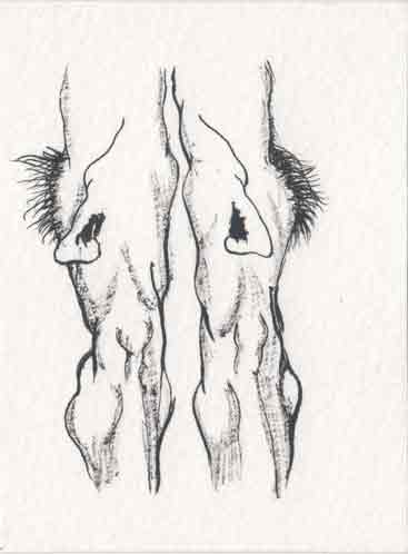 Drawing 41