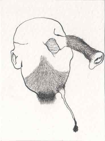 Drawing 46